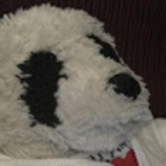 Meet your Posher, Shirley - Picture 1 of 1